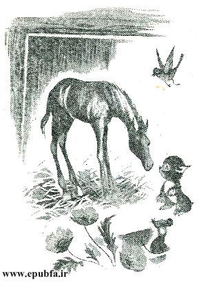 قصه کودکانه کرهاسب کوچولوی بامزه - محصول ایپابفا - ارشیو قصه و داستان کودکانه